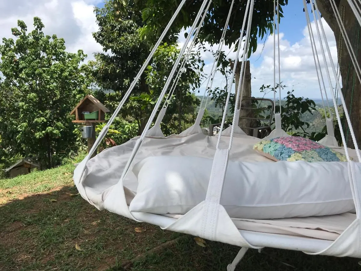 Camping Para Dos - A Escoger, Segun Disponibilidad De Cabana Caguas Luxury tent